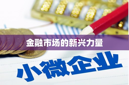 蕉岭金融市场的新兴力量