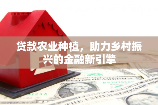 孙吴贷款农业种植，助力乡村振兴的金融新引擎
