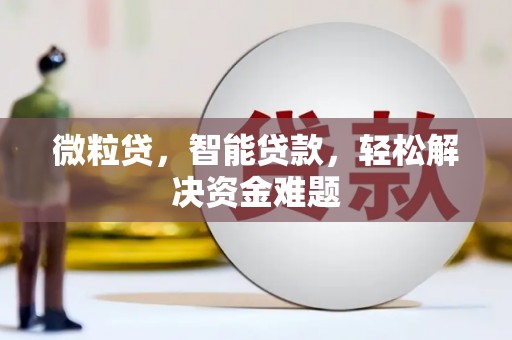 孙吴微粒贷，智能贷款，轻松解决资金难题