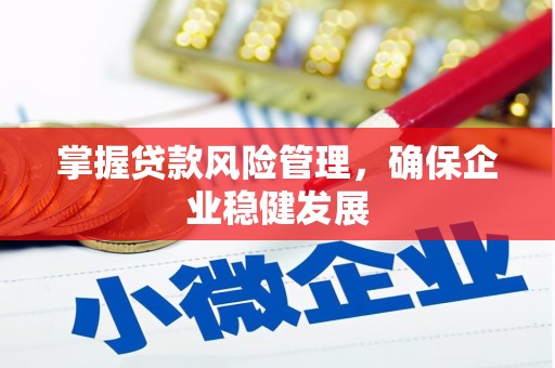 元长掌握贷款风险管理，确保企业稳健发展