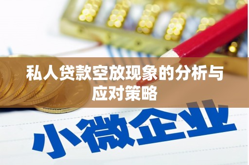 惠民私人贷款空放现象的分析与应对策略