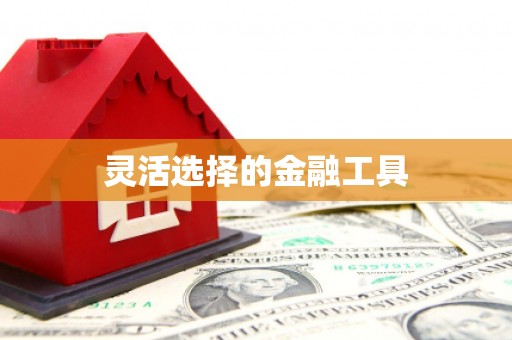 友谊灵活选择的金融工具