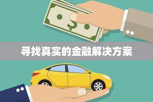 青县寻找真实的金融解决方案