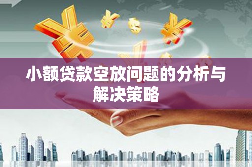 永春小额贷款空放问题的分析与解决策略