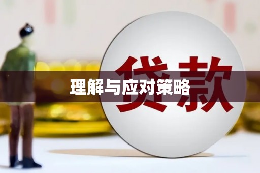 沙洋理解与应对策略