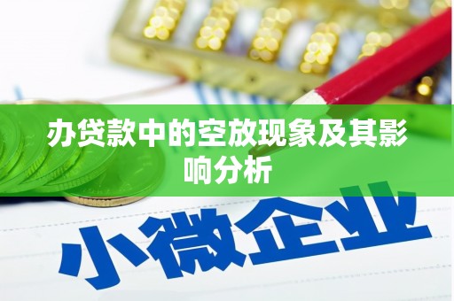 沙洋办贷款中的空放现象及其影响分析