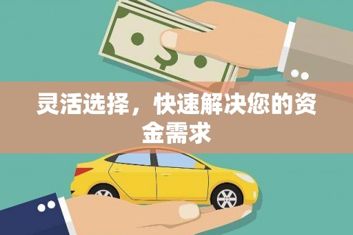 元长灵活选择，快速解决您的资金需求