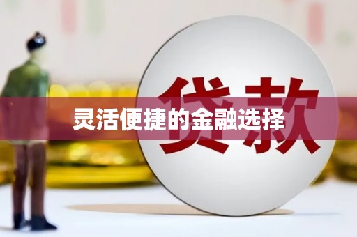 甘谷灵活便捷的金融选择