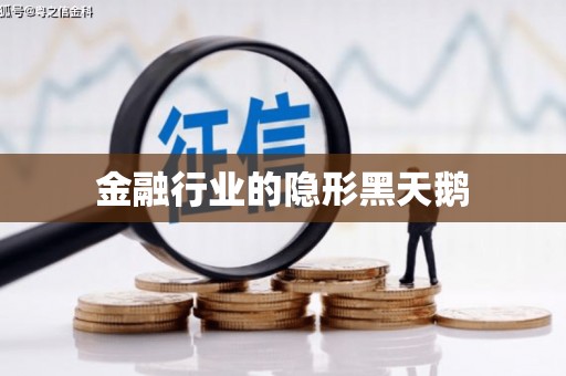 和龙金融行业的隐形黑天鹅