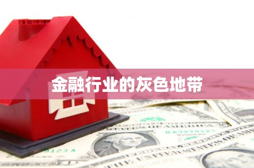 善化金融行业的灰色地带
