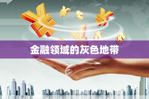 和龙金融领域的灰色地带