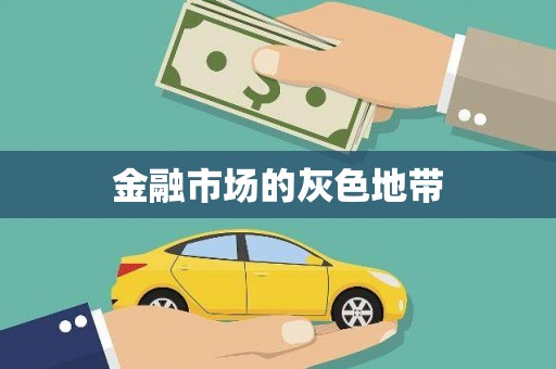 和龙金融市场的灰色地带
