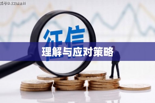 西乌旗理解与应对策略