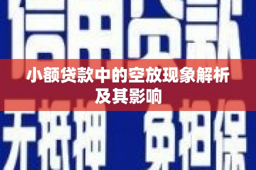 蒙阴小额贷款中的空放现象解析及其影响