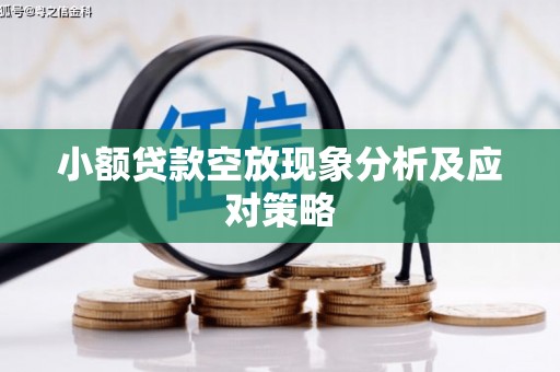 田东小额贷款空放现象分析及应对策略