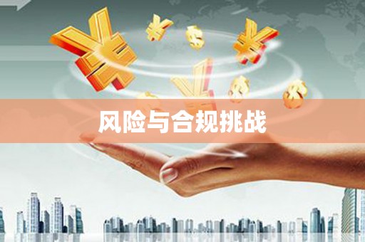 宝应风险与合规挑战
