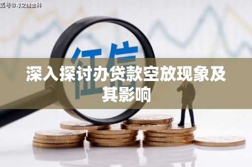 西林深入探讨办贷款空放现象及其影响