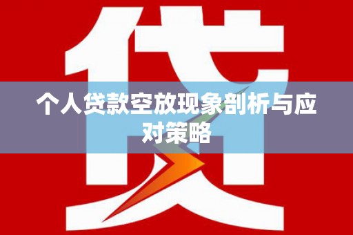 西林个人贷款空放现象剖析与应对策略