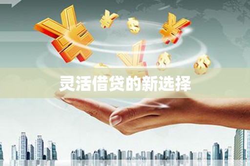 东方灵活借贷的新选择