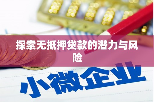 宁南探索无抵押贷款的潜力与风险