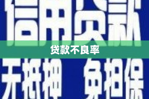 长丰贷款不良率