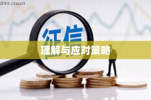 葫芦岛理解与应对策略