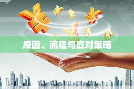 双流原因、流程与应对策略