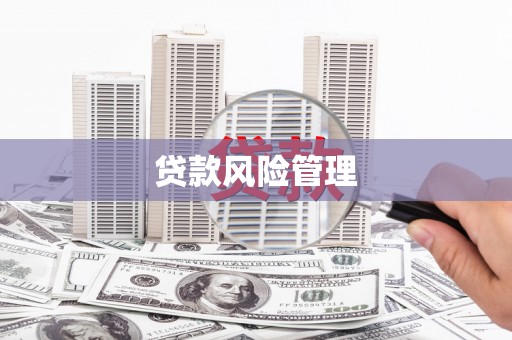 乳源贷款风险管理