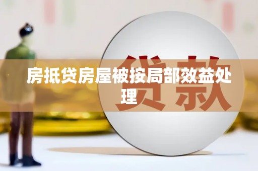 固始房抵贷房屋被按局部效益处理