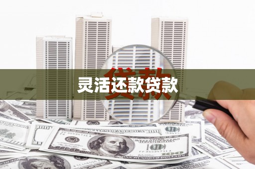 东昌府灵活还款贷款