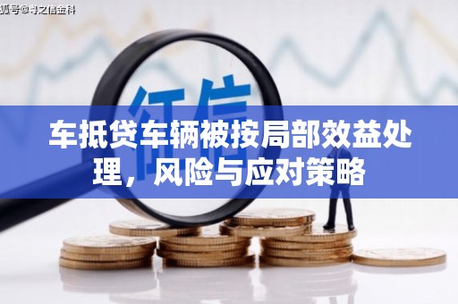 东昌府车抵贷车辆被按局部效益处理，风险与应对策略